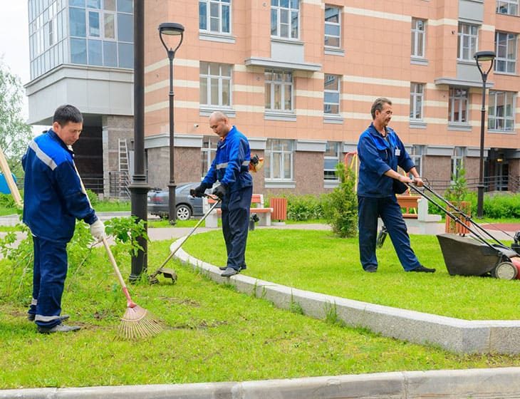 Услуги благоустройства территории